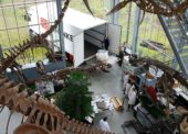 Speciální vědecká zásilka: společnost DB Schenker přepravila kostru dinosaura