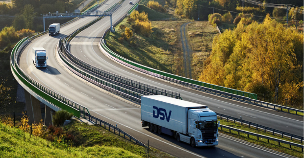 DSV
